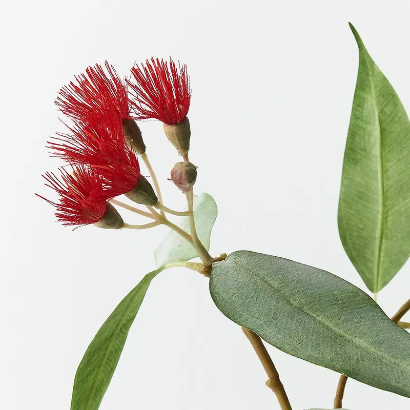 Eucalyptus Floral Stems – 12-Piece Dried Or Artificial Arrangement 1