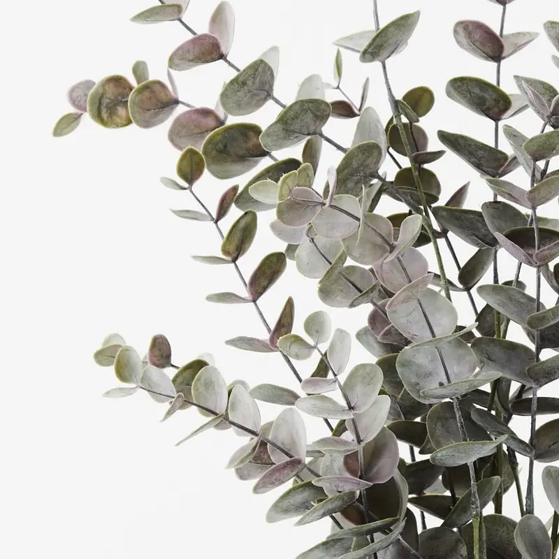 Eucalyptus In Ceramic Pot – 6-Bush Decorative Set 1