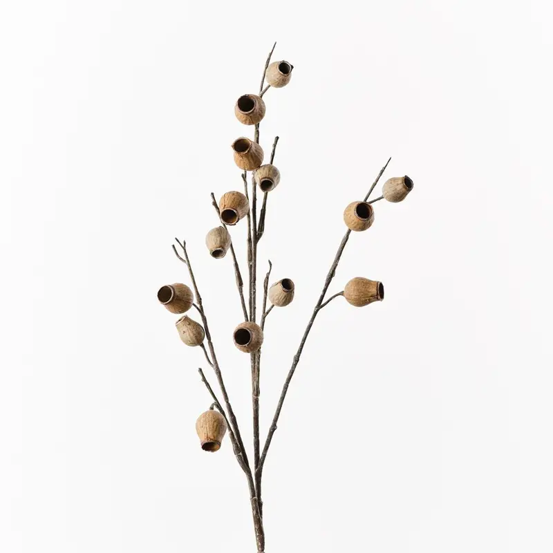 Eucalyptus Pod Branch Spray – 12-Piece Dried Set 1