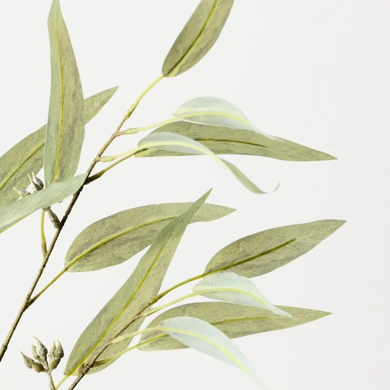 Eucalyptus Seed Pod Spray – Textured 12-Stem Greenery Set 1