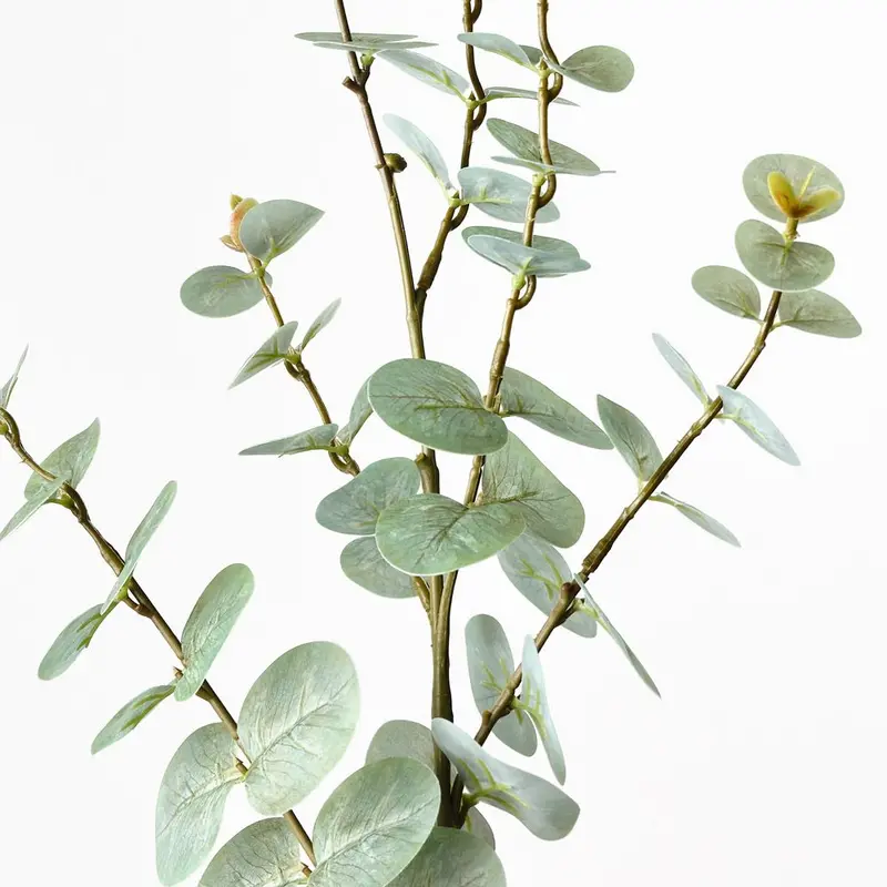 Eucalyptus Spray – 12-Unit Dried-Look Foliage Set 1