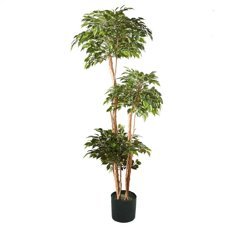 Ficus Artificial Tree – 180Cm Tall 1