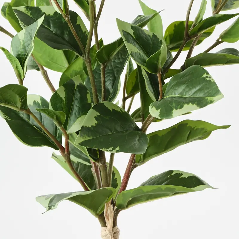 Ficus Leaf Bundle – 12-Piece Artificial Greenery Set 1
