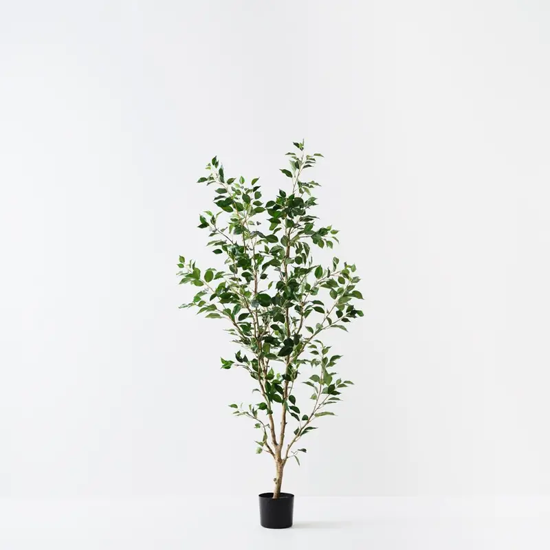 Ficus Ornamental Tree – Dual-Piece Artificial Indoor Plant Set 1