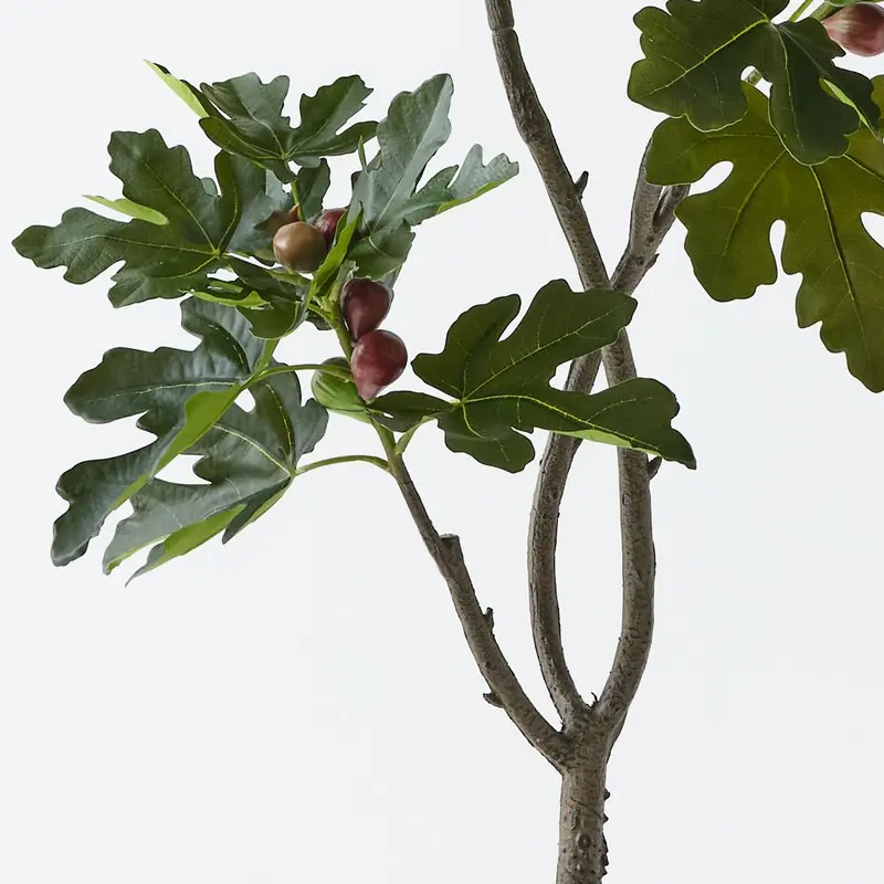 Fig Tree Pair – Stylish Artificial Indoor Trees (Set Of 2) 1
