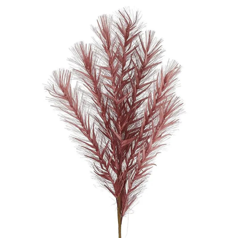 Flee Pampas Grass Stem In Plum Tone 1
