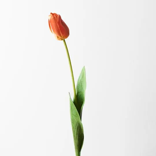 Fresh-Style Tulip Stems – 12-Pack 1