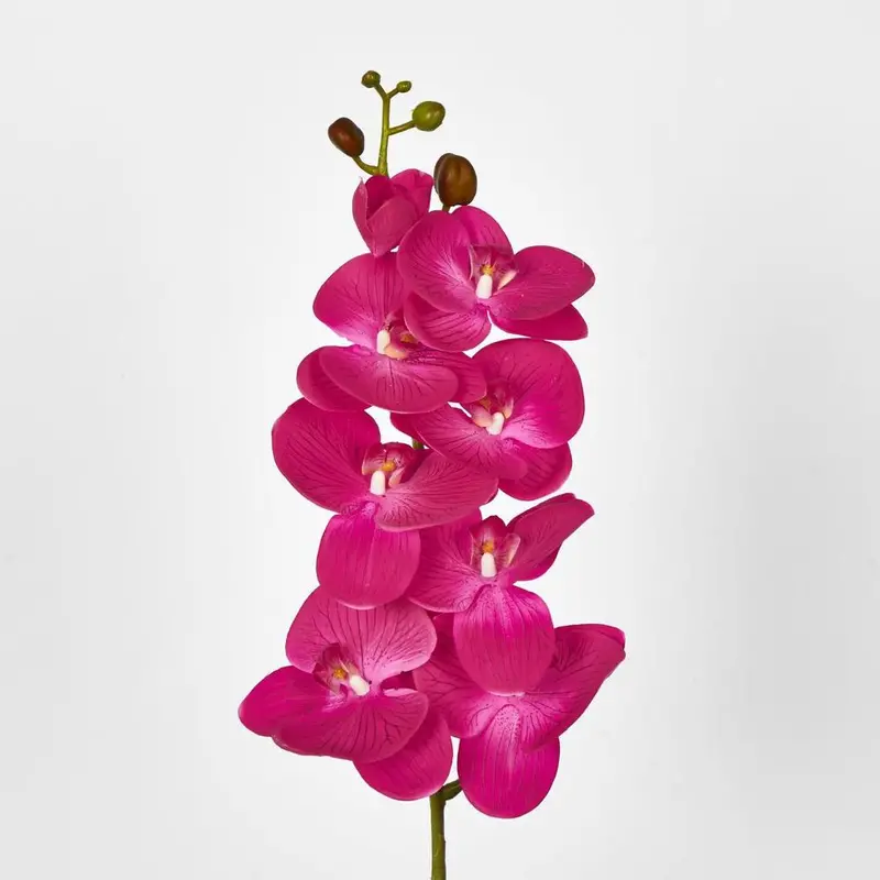 Fuchsia Phalaenopsis Orchid Spray – 7 Flowers 1