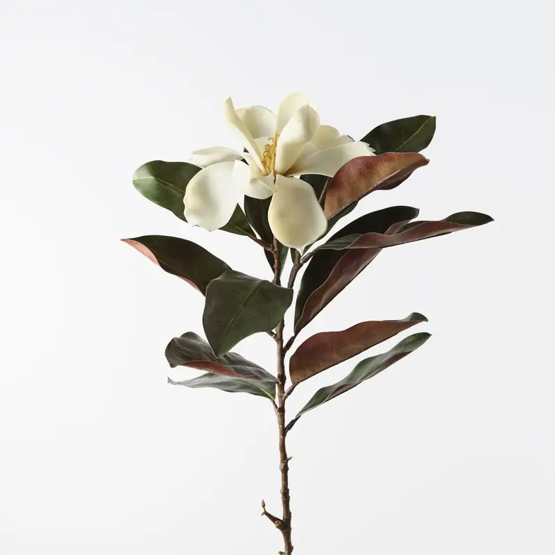 Full-Size Magnolia Spray – Set Of 12 Lifelike Botanical Stems 1