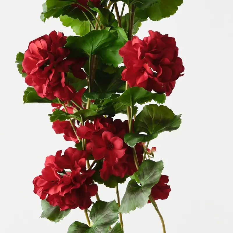 Geranium Hanging Floral Bush – Set Of 6 1