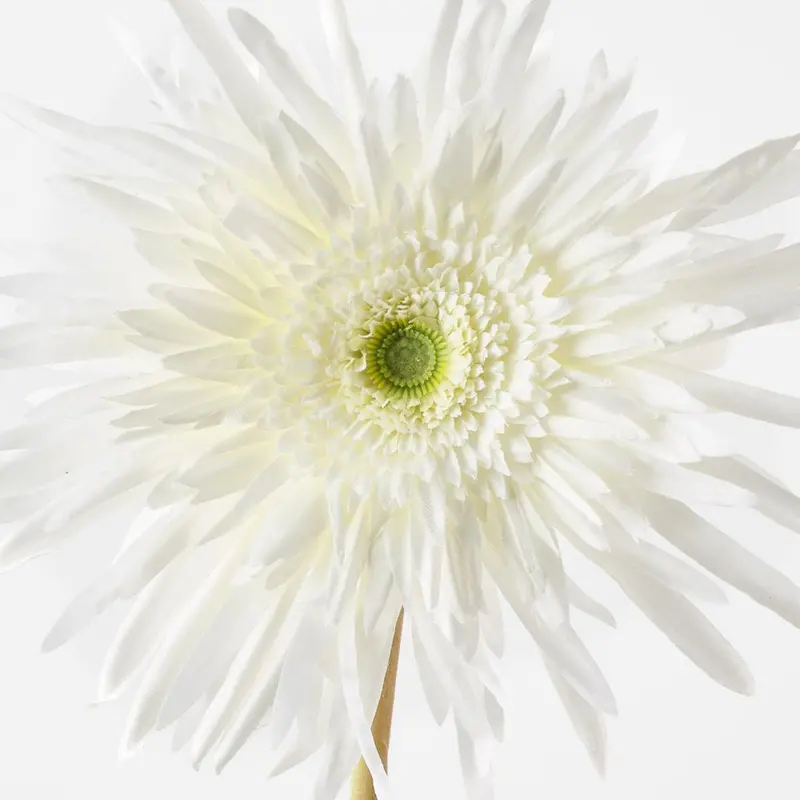 Gerbera Spider Artificial Flowers – 12-Stem Pack 1