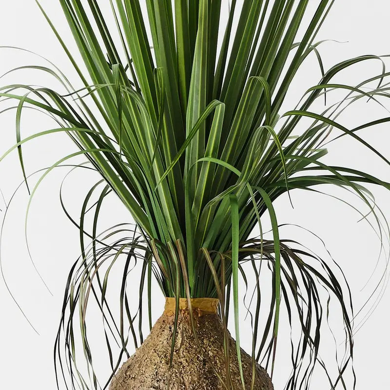 Grass Bulb Artificial Plant – 2-Piece Set 1
