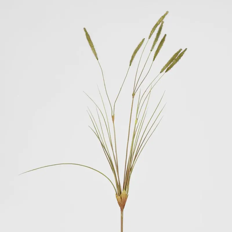 Green Foxtail Grass Spray – Airy Natural-Looking Filler Stem 1