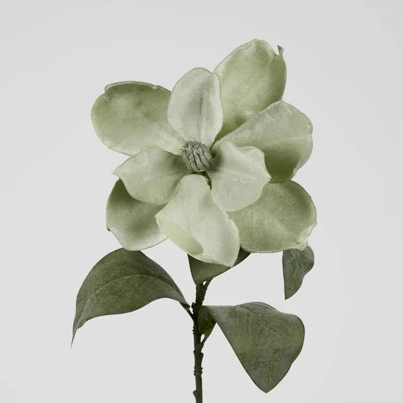 Green Grandiflora Velvet Magnolia Stem Arrangement 1