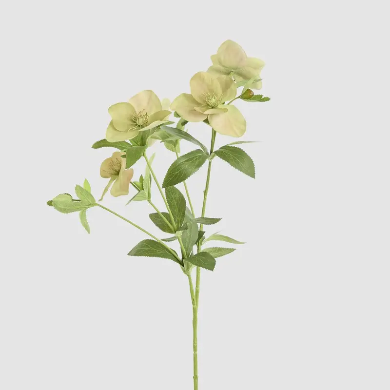 Green Helleborus Floral Spray – 72Cm Realistic Botanical Accent 1