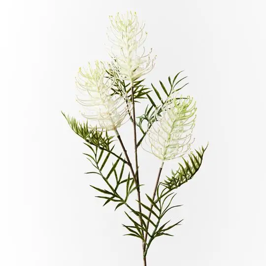 Grevillea Floral Stem Bundle – 12-Piece Dried Botanical Arrangement 1