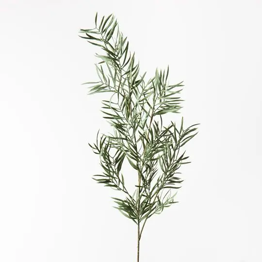 Grevillea Foliage Spray – 12-Piece Set 1