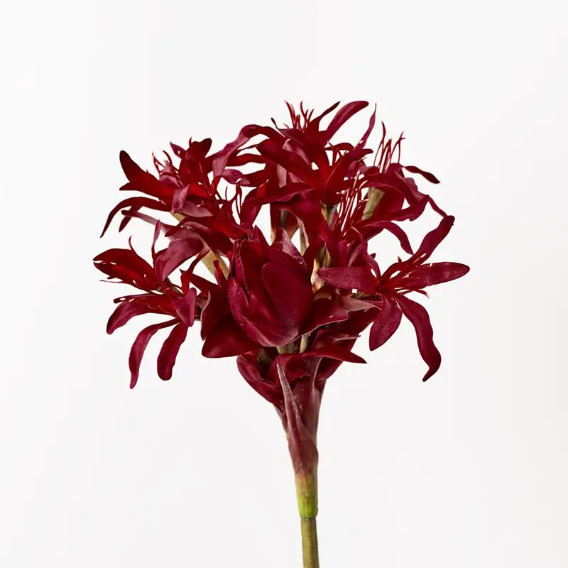 Gymea Lily – Set Of 4 Striking Artificial Flower Stems 1