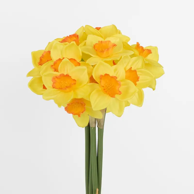 Hand-Tied Daffodil Bouquet – Fresh Style 1