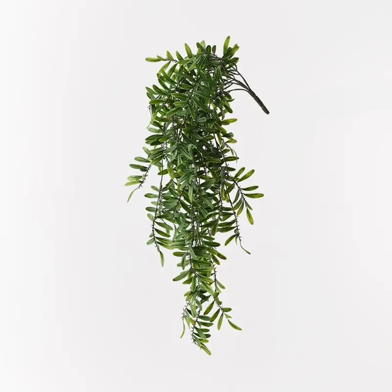 Hanging Acacia Leaf Bush – 6-Pack Cascading Faux Foliage 1