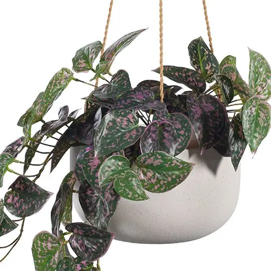 Hanging Bowl Flo Decor – Dual-Piece Indoor/Outdoor Accent 1