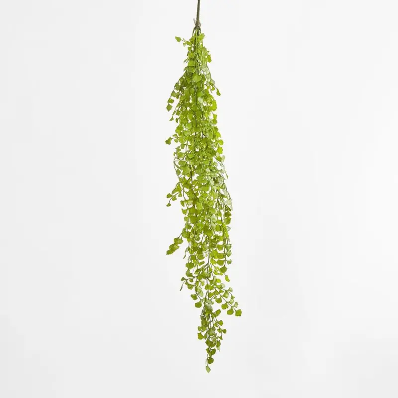 Hanging Fern With Button Details 1