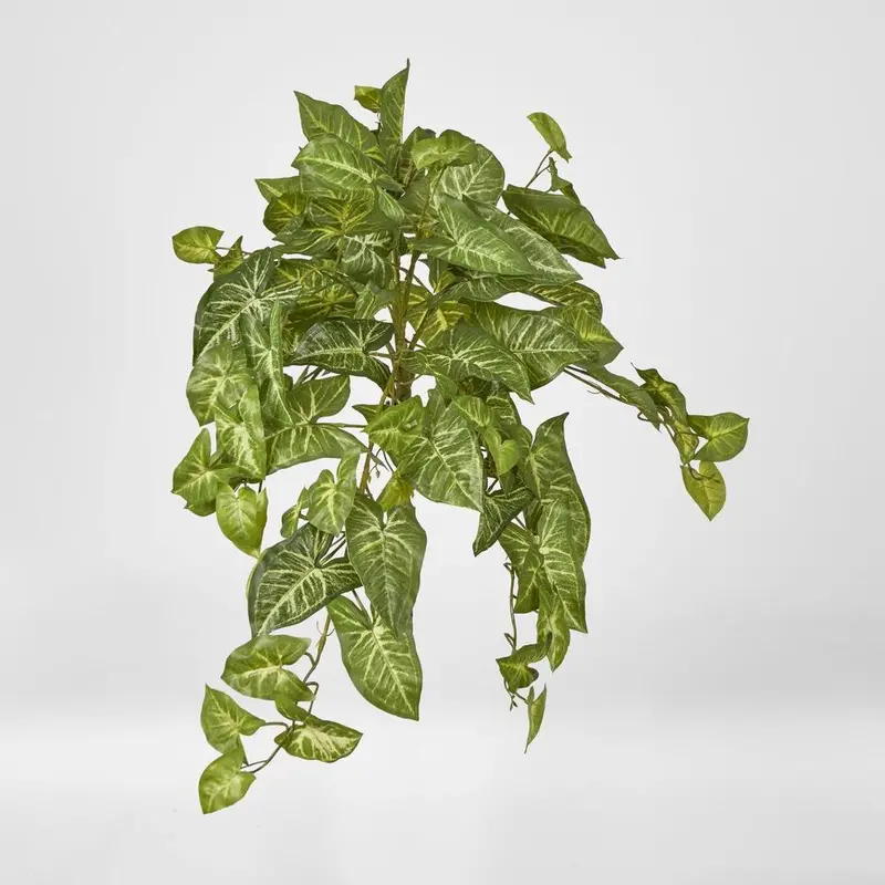 Hanging Green Syngonium Vine – Cascading Faux Syngonium Bush 1