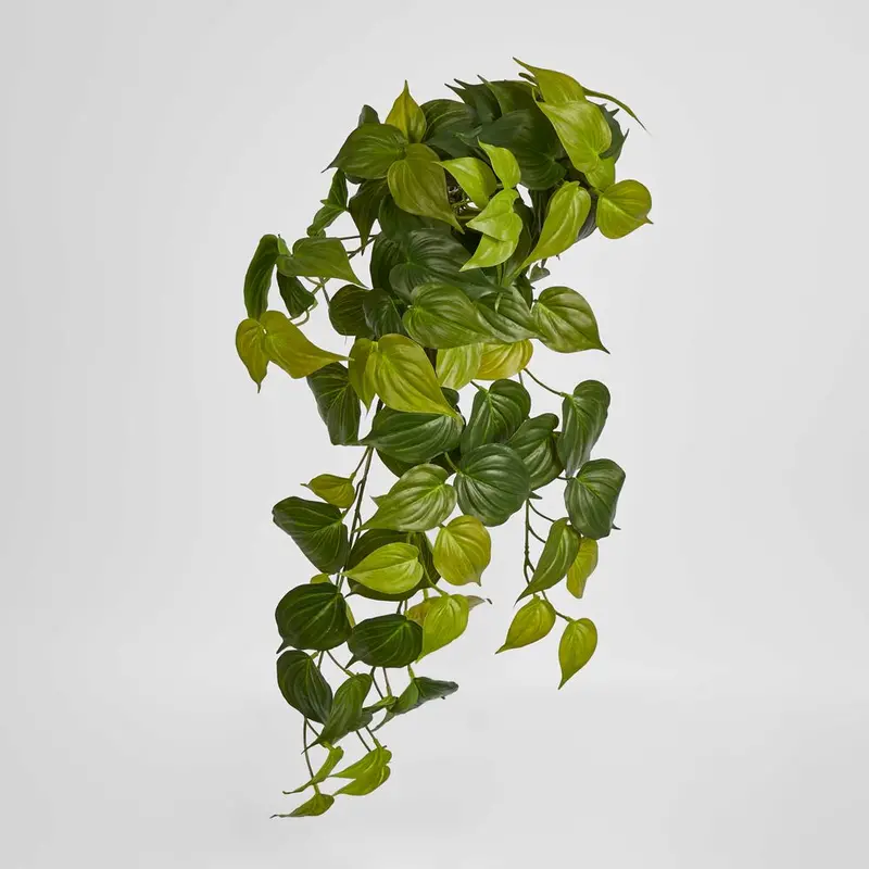 Hanging Philodendron Bush – Premium Real-Touch Foliage 1