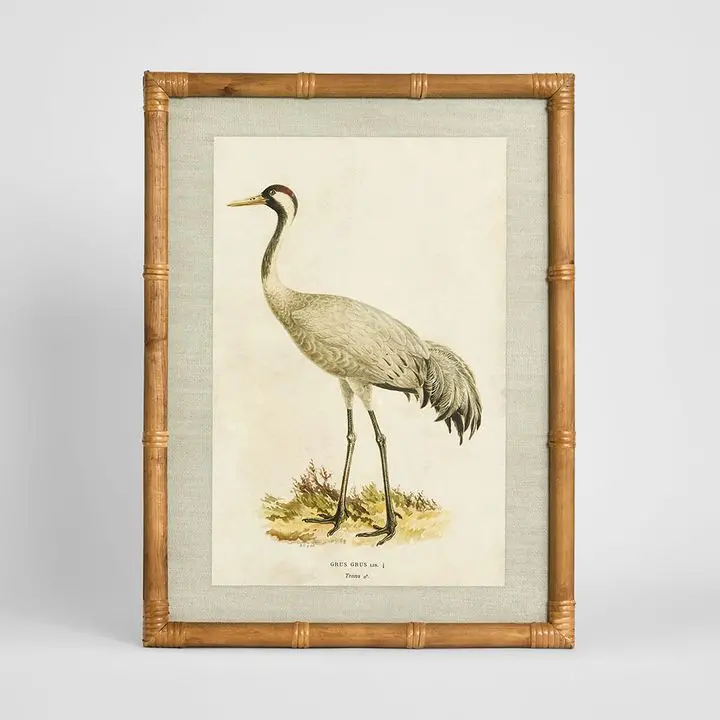 Heron Study B Wall Art Print – 45X60Cm Framed 1