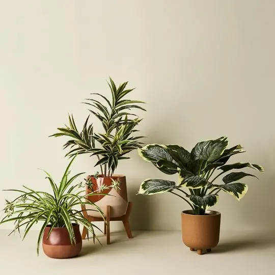 Hosta In Ceramic Pot – 4-Piece Potted Faux Plant Collection 1
