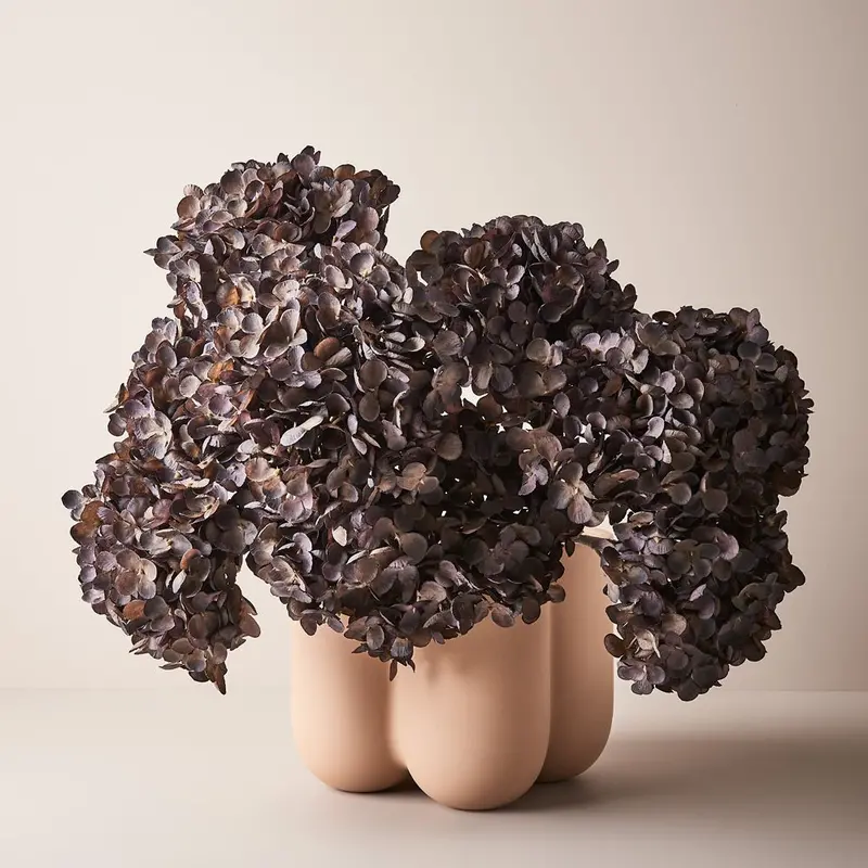 Hydrangea Blossom Spray (No Leaves) – 12-Piece Elegant Floral Bundle 1