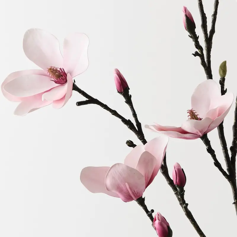 Japanese Magnolia Botanical Spray – 4-Count Pack 1