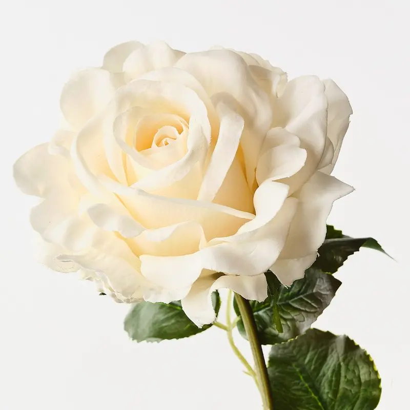 Juliette English Rose Spray – Pack Of 12 Elegant Stems 1