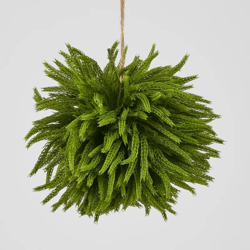 Large Hanging Norfolk Pine Ball – Festive Or Year-Round Decor 1