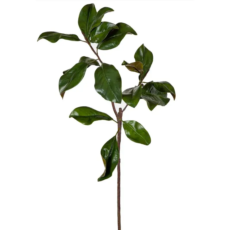 Large Magnolia Leaf Spray – Lush Green Foliage 1