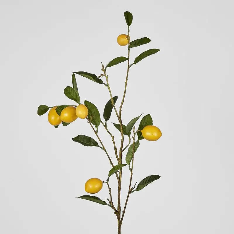Lemon Fruit Stem Display – 98 Cm Botanical Accent 1