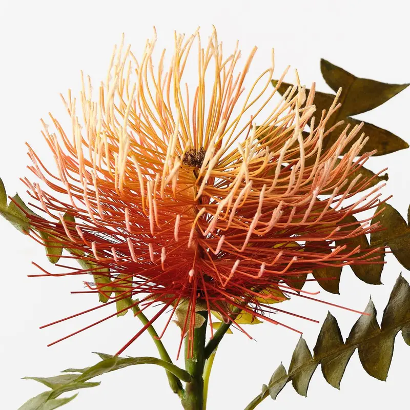 Leucospermum Protea Stem Bundle – 12-Piece Artificial Spray 1