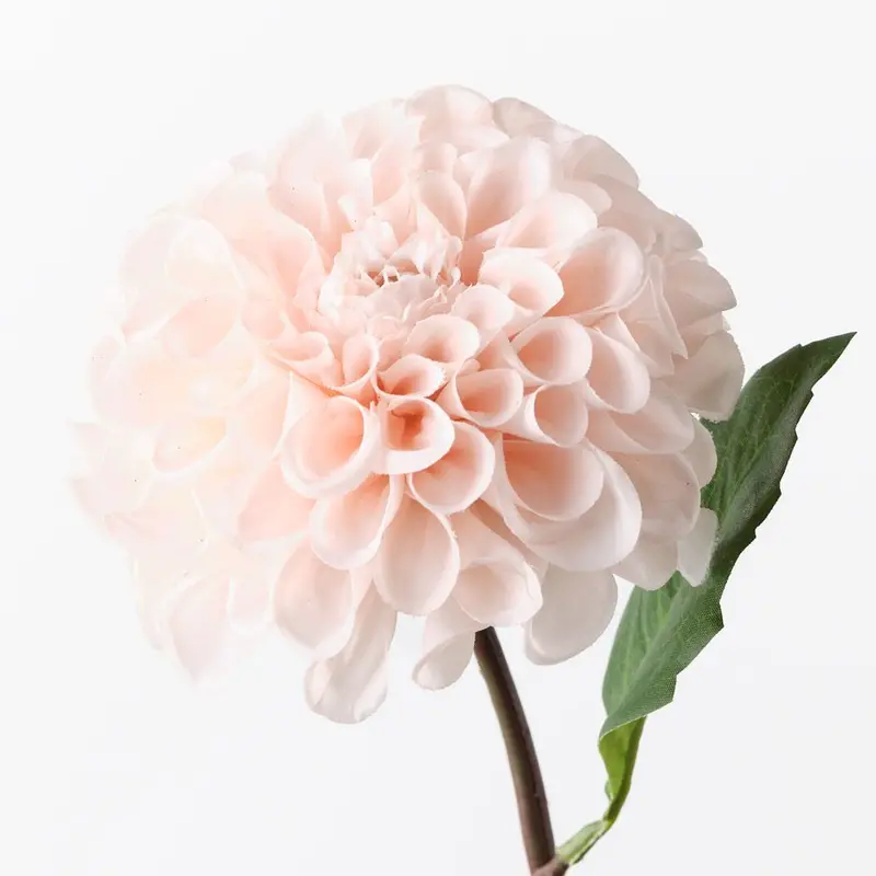 Lifelike Pompon Dahlia Floral Stems – Pack Of 12 1