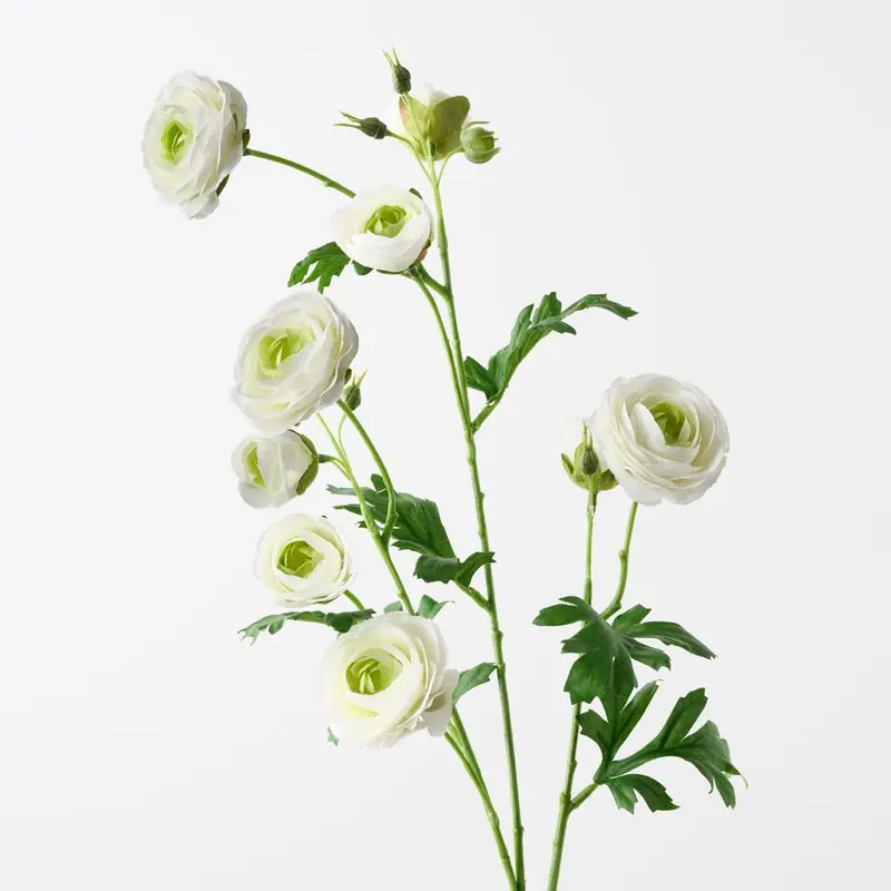 Lifelike Ranunculus Floral Stems – Pack Of 12 1
