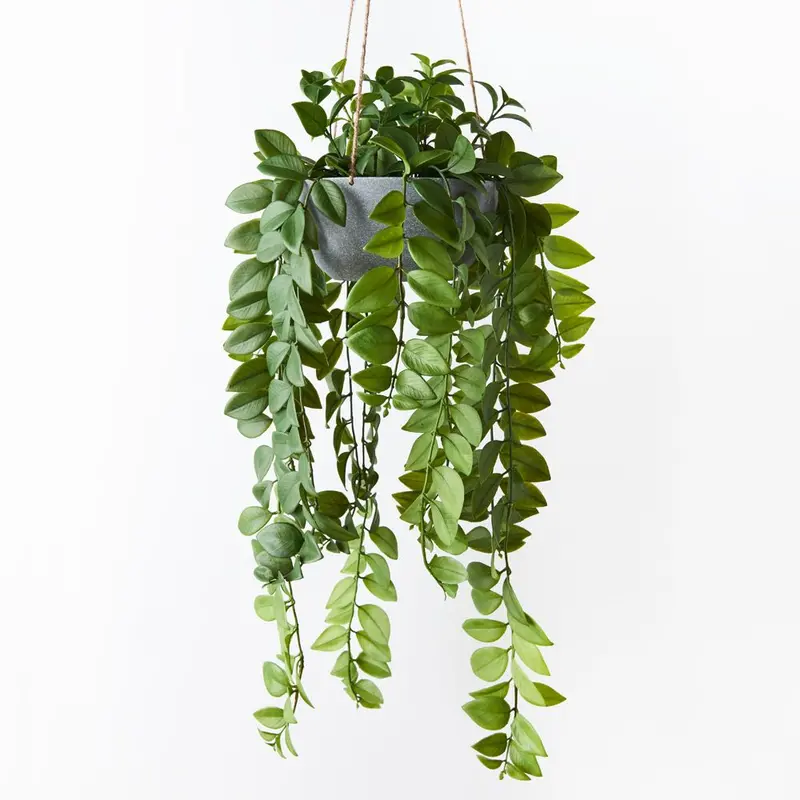 Locust Honey Hanging Bowl Arrangement – 2-Piece Organic Table Or Shelf Display Set 1