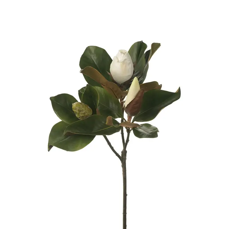 Magnolia Bud And Leaf Combo – 6-Piece Botanical Set 1