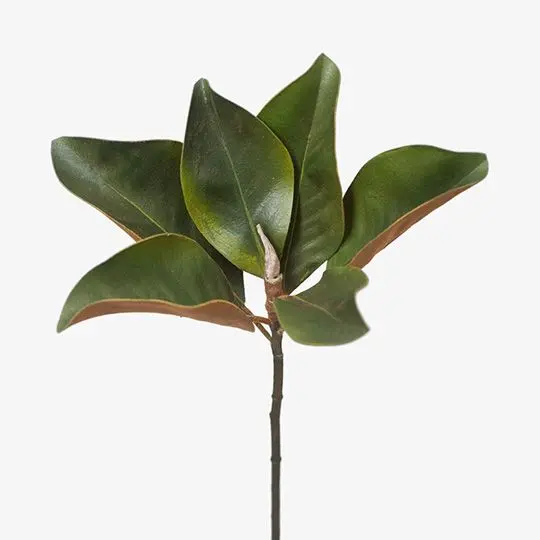 Magnolia Leaf Sprays – 12-Pack Realistic Foliage Stems 1