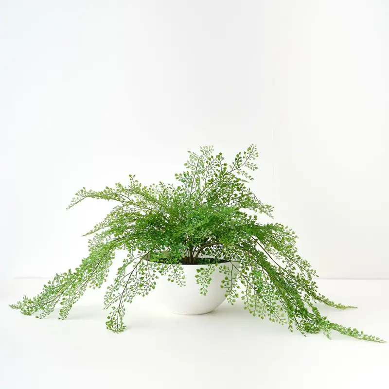 Maidenhair Fern In Bowl – Two-Piece Delicate Artificial Greenery Set 1