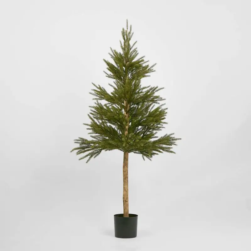 Minimalist Spruce Christmas Tree – 150Cm Height 1