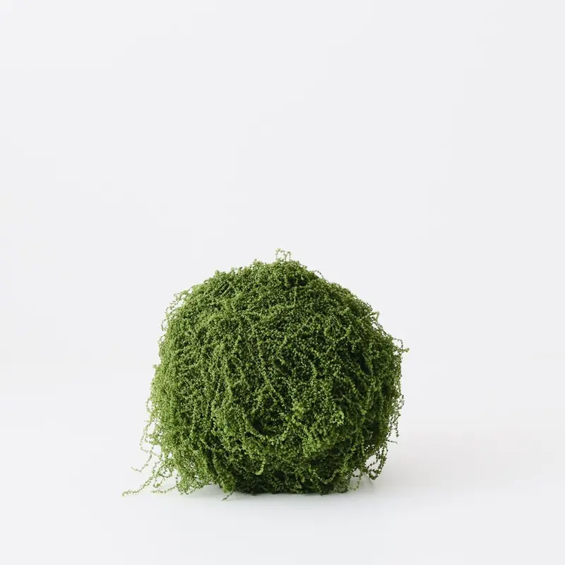 Moss Ball Quartet (4-Pack) 1