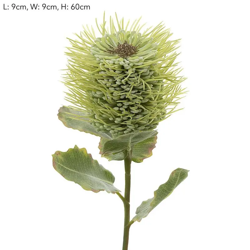 Native Pincushion Flower Stem – 60Cm Green Artificial Floral 1