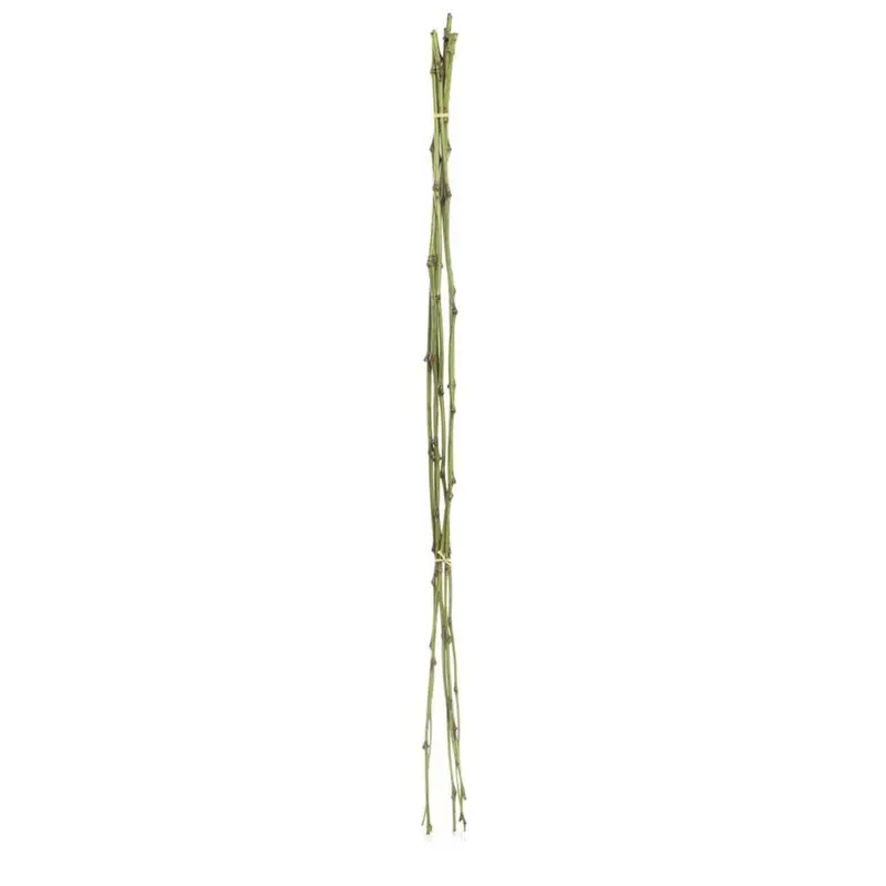 Natural Bamboo Twig Bundle – 1 Meter Long 1