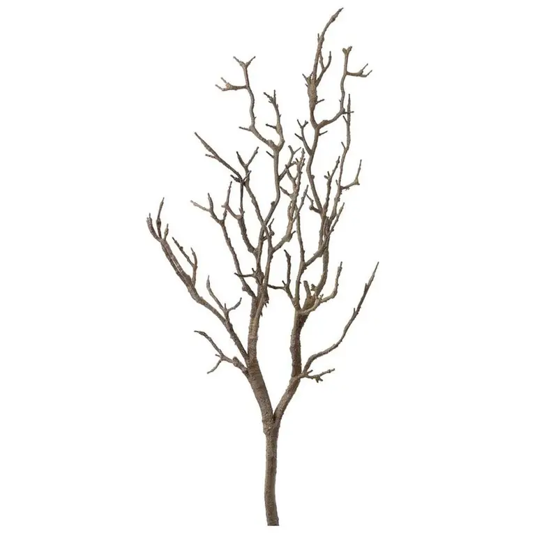 Natural Birch Branch Stem – 1M Dried Wood Decor 1
