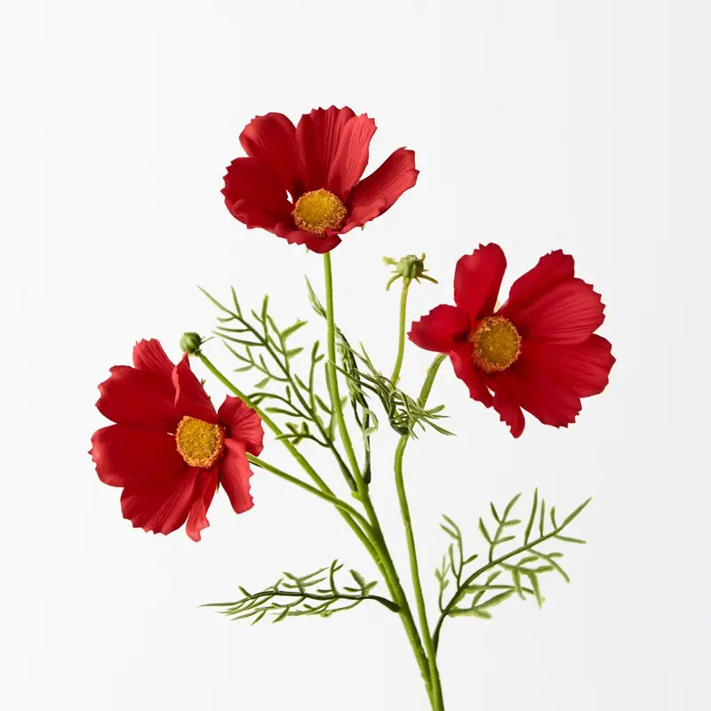 Natural-Look Cosmos Spray – Pack Of 24 Stems 1