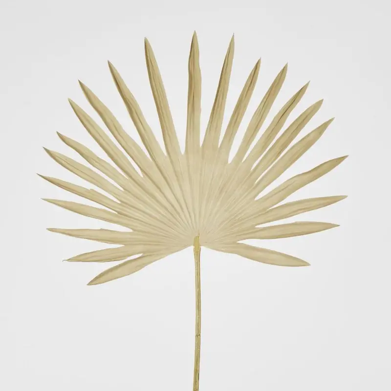 Natural Tone Sun Palm Leaf Stem 1